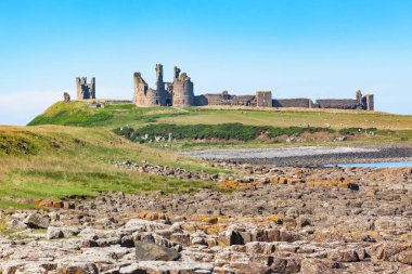 Northumberland Coast and Dunstanburgh Castle clipart