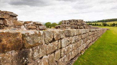 Northumberland, İngiltere - 28 Temmuz 2012: Hadrian Duvarı'nın yemyeşil Northumberland kırsal İngiltere'nin bir bölümünü.
