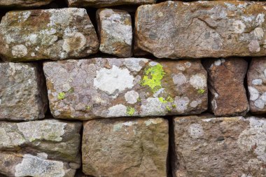 Hadrian Duvarı'nın duvar detay
