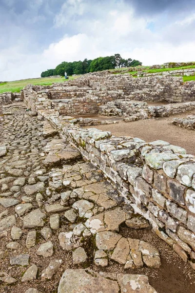 Housesteads Roman Fort