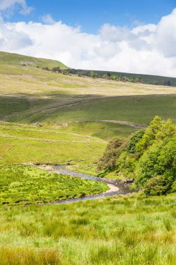 Yorkshire Dales akışı
