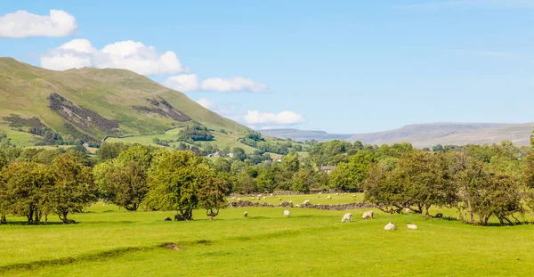 Yorkshire Dales tarım peyzaj