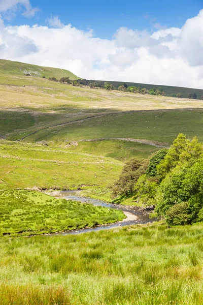 Yorkshire Dales Stream — Stockfoto
