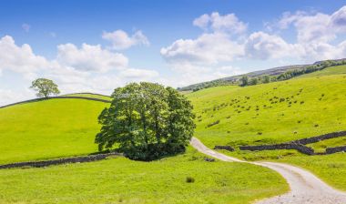 Yorkshire Dales panoramik manzara