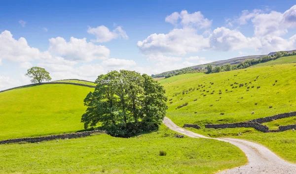 Yorkshire Dales Paisaje panorámico — Foto de Stock