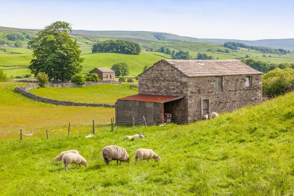 Juh- és a Yorkshire Dales pajta — Stock Fotó