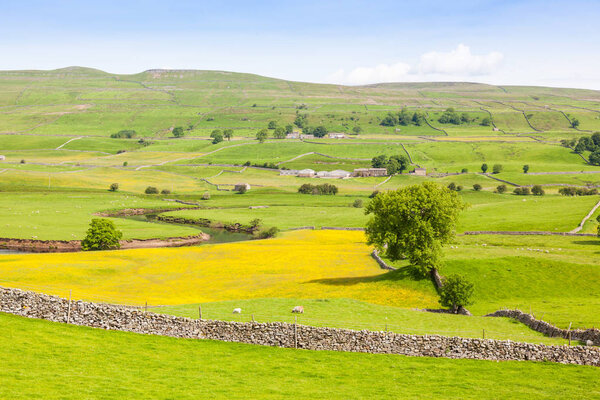 Yorkshire Dales Agricultural Landscape