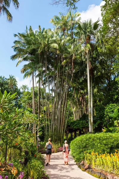 Національний орхідея Сад мистецтв у Сінгапурі — стокове фото