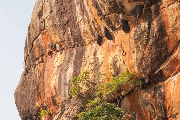 锡吉里亚岩中的蜂巢 — 图库照片