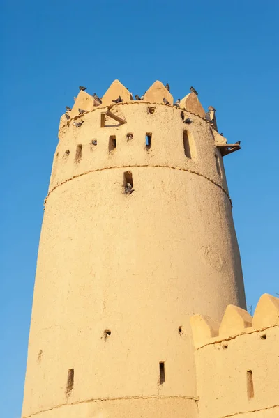 Forte Al Jahli em Al Ain nos Emirados Árabes Unidos — Fotografia de Stock