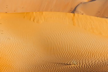 Soyut Dune desen boş Mahallesi