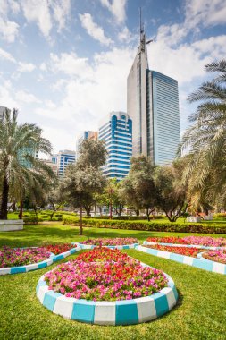 Abu Dabi şehir parkında