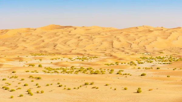 Wadi e dune nel quartiere vuoto — Foto Stock