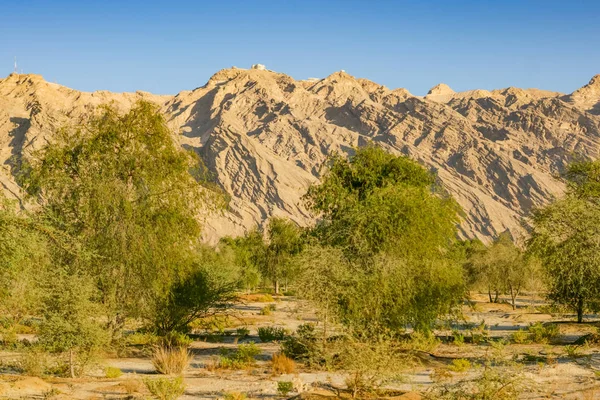 Jebel Hafit Al Ain BAE yakınındaki — Stok fotoğraf