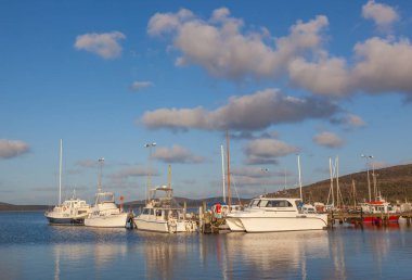 İstiridye liman Marina