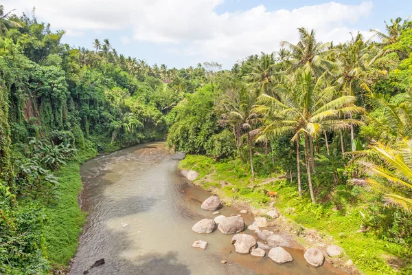 Un río en el centro de Bali —  Fotos de Stock