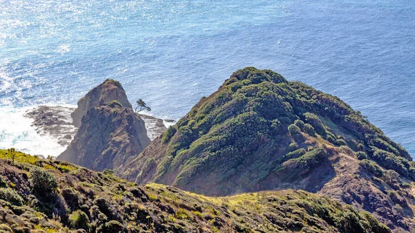 Rocky Point North Island New Zealand Known Reinga Ancient Kahika — Stock Photo, Image