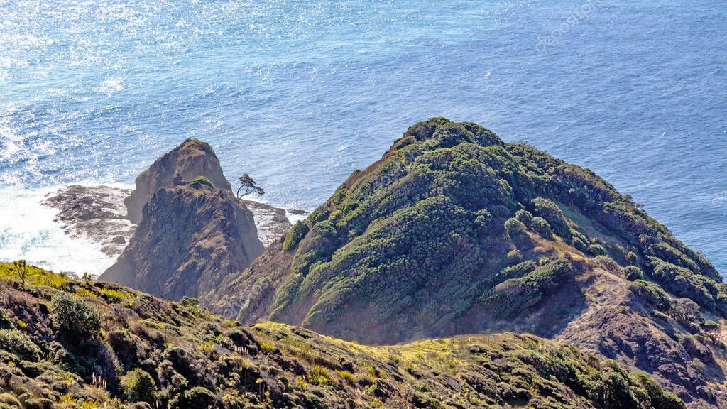 A rocky point in North Island, New Zealand, known as Te Reinga with an ancient kahika tree known as Te Aroha. It is considered in Maori tradition to be the place where spirits enter the spiritual home of Hawaiki.