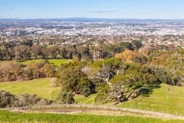 Auckland, Kuzey Adası, Yeni Zelanda 'nın Cornwall Park manzarası.