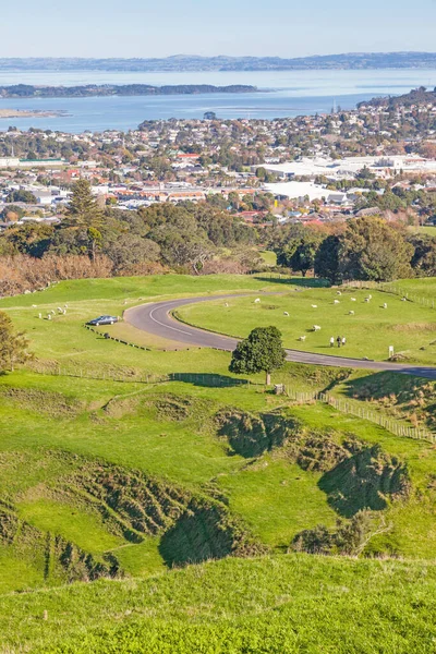 ニュージーランド北島オークランド郊外のコーンウォール公園からの眺め — ストック写真