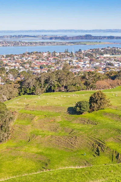 Una Vista Dal Parco Della Cornovaglia Della Periferia Auckland Isola — Foto Stock