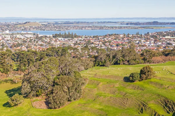 Una Vista Dal Parco Della Cornovaglia Della Periferia Auckland Isola — Foto Stock