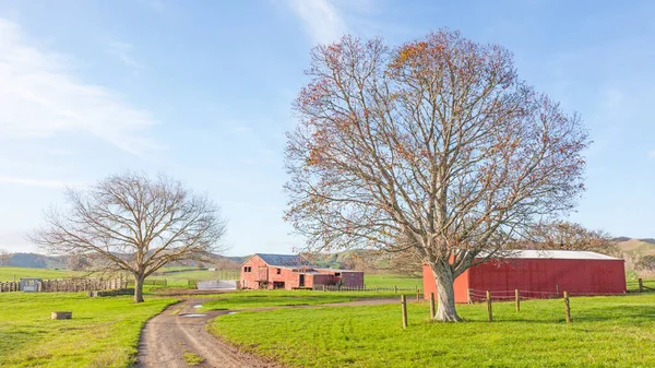 Celeiro Uma Fazenda Entre Ohinewai Tahuna Região Waikato Ilha Norte — Fotografia de Stock