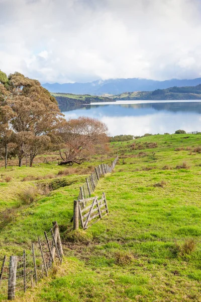 Kilátás Nyílik Hokianga Harbour Northland North Island Zéland — Stock Fotó