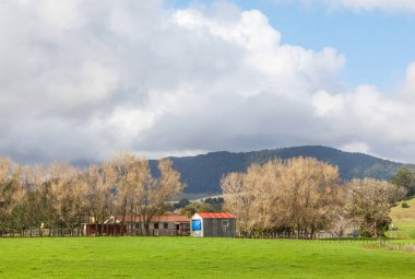 Waimamaku bölgesindeki çiftlik, Northland, Kuzey Adası, Yeni Zelanda.