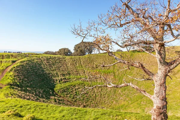 Maungawhau Nebo Mount Eden Spící Sopka Jejíž Vrchol Nejvyšším Přirozeným — Stock fotografie