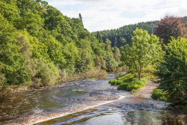 Whiteadder Nehri, Berwickshire 'ın Lammermuir bölgesindeki Abbey St Bathans yakınlarında, İskoç sınırlarının doğu kısmında..