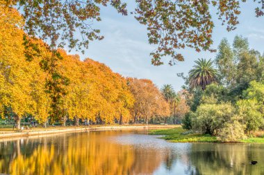 PERTH, AUSTRALYA - 16 Mayıs 2019: Batı Avustralya 'daki Hyde Park' ta dinlenen kimliği belirsiz insanlar.