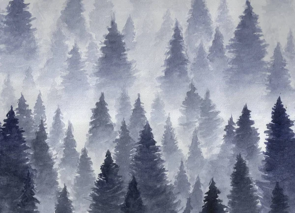Paisagem de floresta nublada, mística e conífera em ye mountaind . — Fotografia de Stock