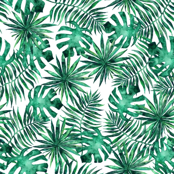 Naadloze Patroon Met Bladeren Brunches Van Tropische Planten Bomen — Stockfoto