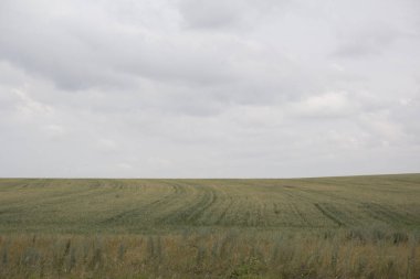 Kırsal manzara. Overkast gri gökyüzü bulutlu. alan