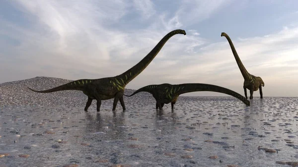 Rendering Walking Mamenchisaurus — Stockfoto