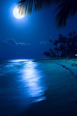 Sanat Moonlight tropikal deniz beach gece; avuç içi Re tatil
