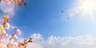 abstract Spring landscape background with flying birds and Sprin