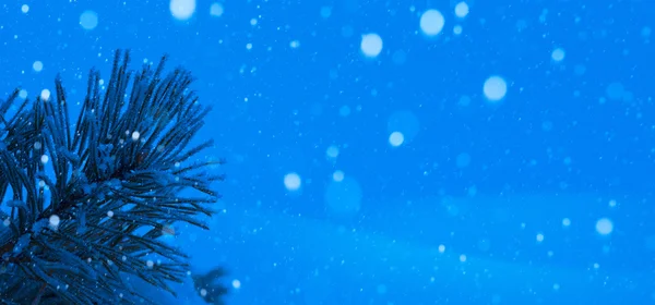 Blue Christmas tree — Stock Photo, Image