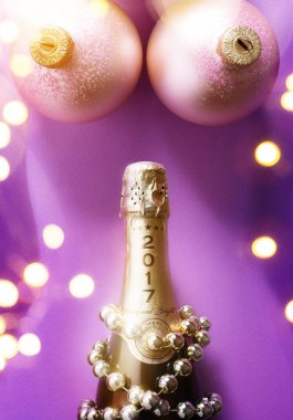 Mutlu Noeller ve mutlu yeni yıl kompozisyon 2017; Seksi holida