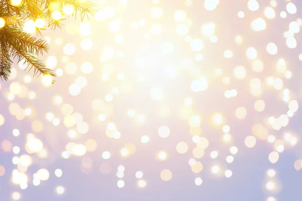 Natal árvore feriados luz fundo — Fotografia de Stock