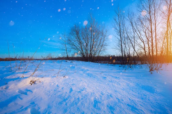 Πανέμορφο τοπίο το χειμώνα? ηλιοβασίλεμα από το χιονισμένο πεδίο κατεψυγμένα? IC — Φωτογραφία Αρχείου