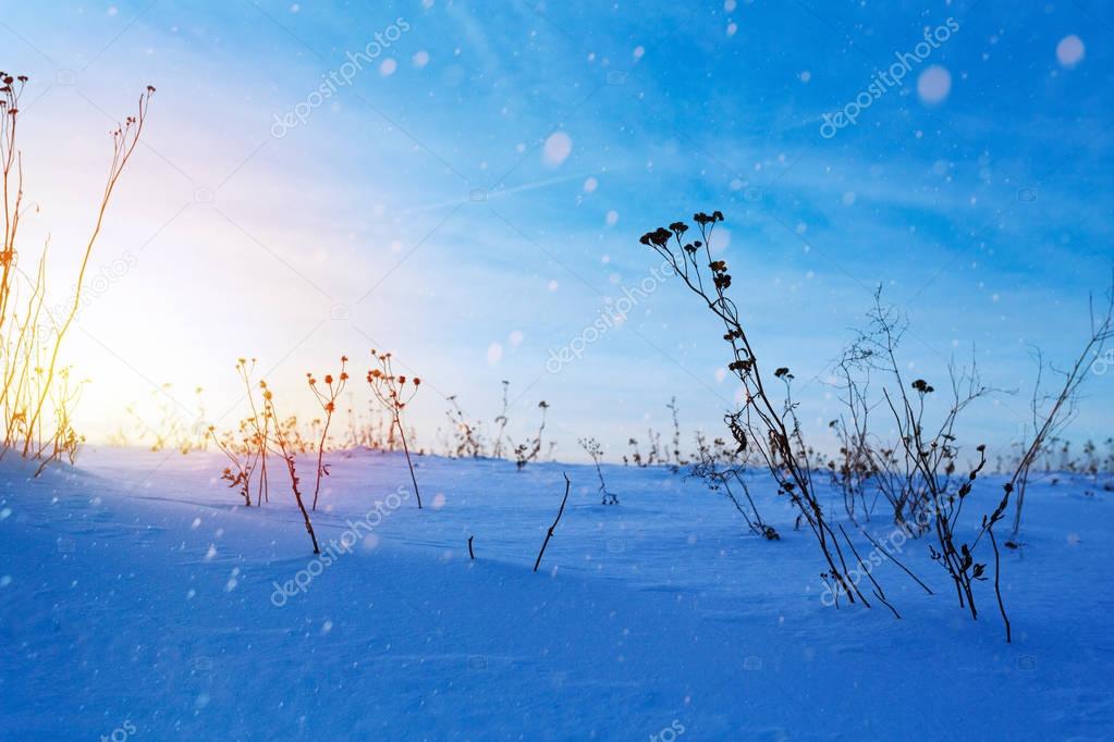 beautiful winter landscape; sunset on the snowy frozen field; ic