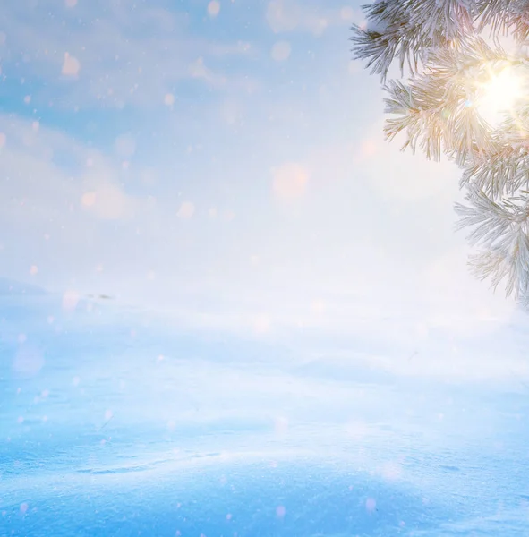 Art Blue Christmas tree; Snowy winter Christmas Landscape — Stock Photo, Image