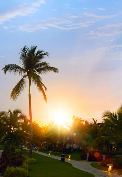 Peaceful tropical background; Sunset in the tropic — Stock Photo, Image