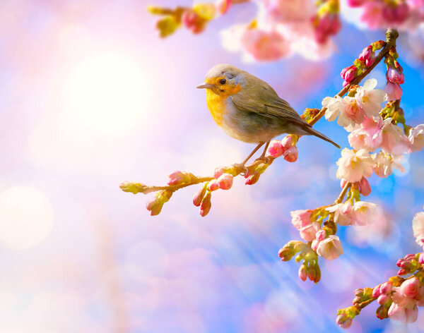 abstract Spring background 