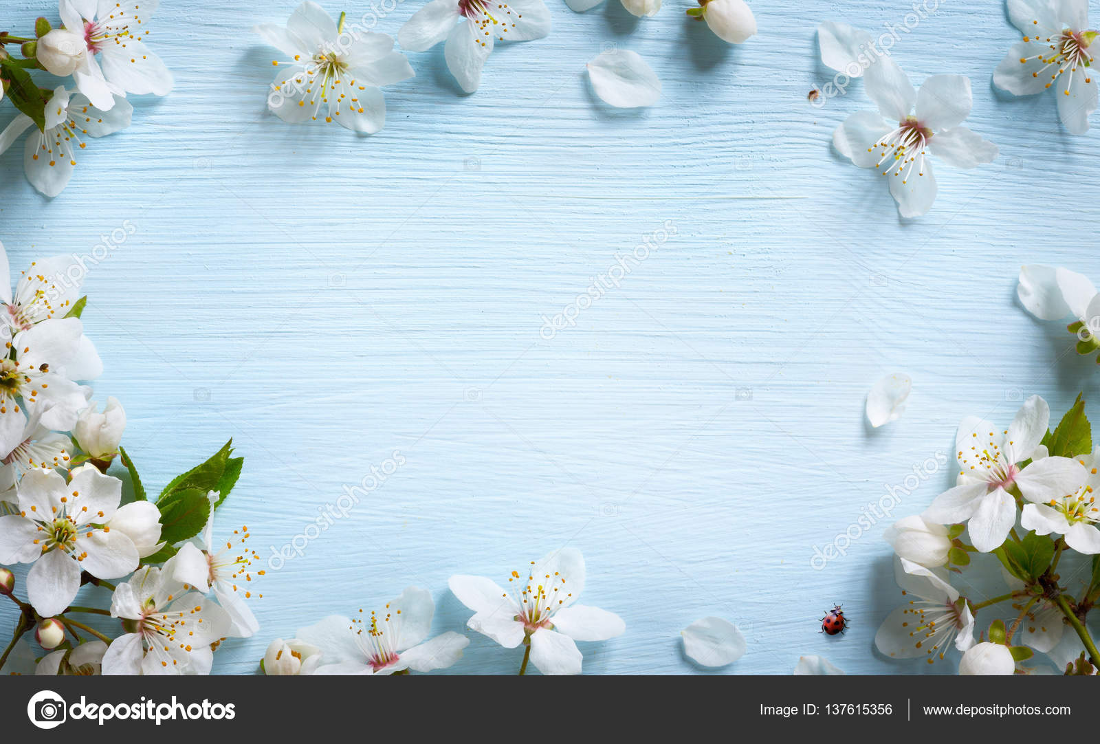 6,716,846 Spring Background Stock Photos - Free & Royalty-Free Stock Photos  from Dreamstime