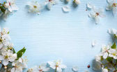 Kunst Frühling Hintergrund; frische Blume auf blauem Hintergrund