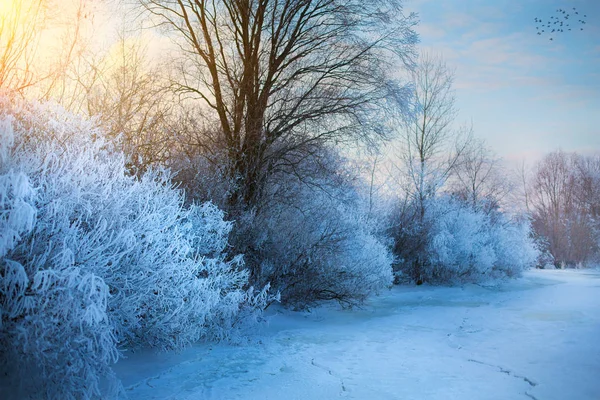 Hermoso fondo de invierno; paisaje de invierno en un Hoar Frost —  Fotos de Stock