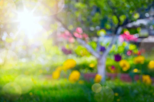 Fondo abstracto de primavera con flor fresca en el jardín de primavera — Foto de Stock